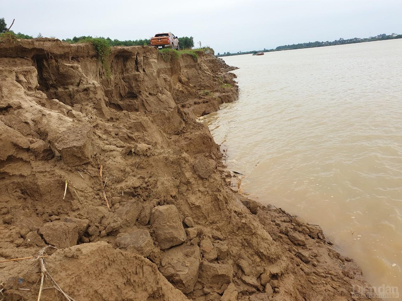 Nhiều ha đất khu vực bãi bồi ven sông Lam bị sụt lún, xói lở nghiêm trọng