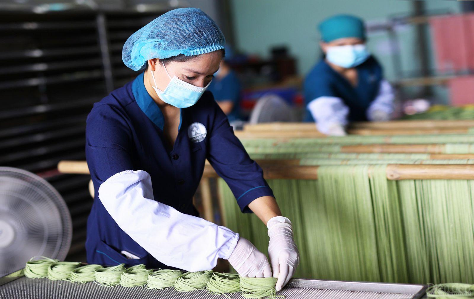 Là lực lượng chiếm phần đông trong cộng đồng doanh nghiệp tỉnh Nghệ An, các doanh nghiệp có quy mô nhỏ và siêu nhỏ có vai trò đặc biệt quan trọng trong tiến trình phát triển kinh tế - xã hội của địa phương