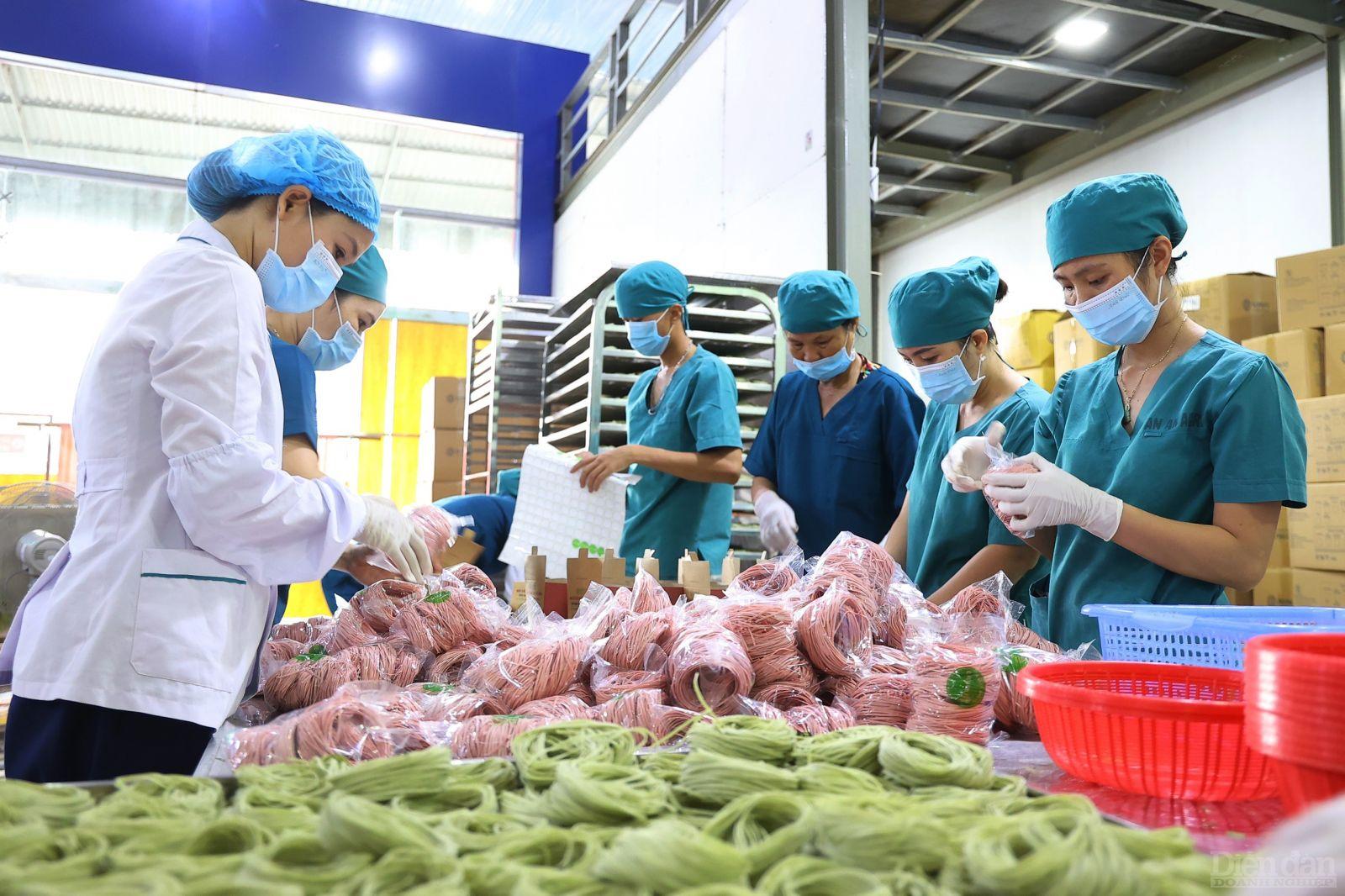 Thời gian tới, tỉnh Nghệ An sẽ tăng cường kết nối logistics; hỗ trợ, thúc đẩy doanh nghiệp xuất khẩu nông sản ra thế giới