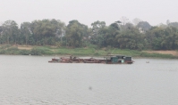 Thanh Hóa: Người dân bất lực nhìn sông “nuốt” đất sản xuất