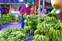 Thanh Hóa: Thương lái thức xuyên đêm đưa hàng về chợ Tết