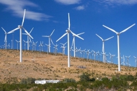 Hiệp hội điện gió "cầu cứu" Chính phủ gia hạn biểu giá FIT