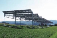 Cần thúc đẩy phát triển điện mặt trời trong nông nghiệp
