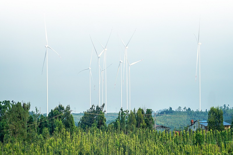 Toàn cảnh dự án điện gió Nam Bình 1 hiện vẫn đang nằm “đắp chiếu” khiến doanh thu dự kiến 10-15 tỉ đồng/tháng thành con số 0