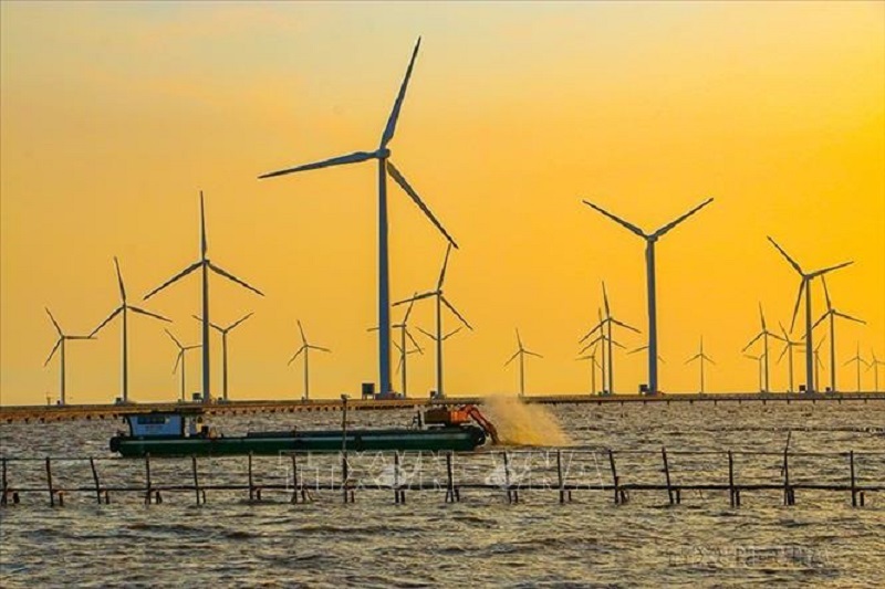 Phát triển Điện gió đã trở thành một trong bốn ngành kinh tế mũi nhọn của thành phố Bạc Liêu.