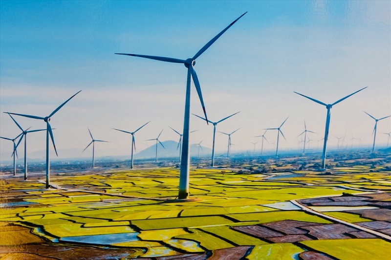 Việt Nam được đánh giá thuộc top đầu ASEAN về phát triển năng lượng tái tạo