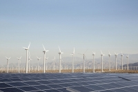 Lộ trình chính sách thực hiện 100% năng lượng tái tạo