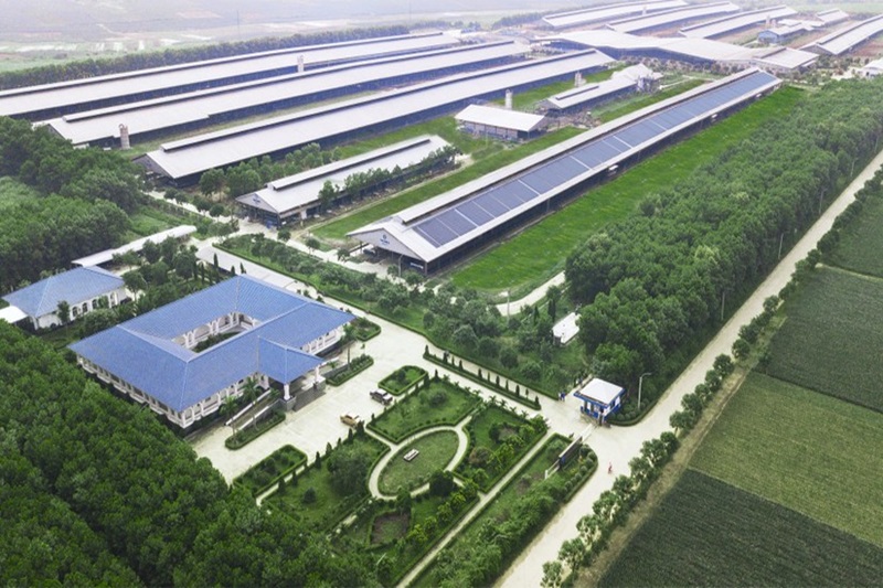 công ty sữa đầu tiên tại Việt Nam có nhà máy và trang trại đạt trung hòa carbon theo tiêu chuẩn quốc tế về trung hòa carbon - PAS 2060.