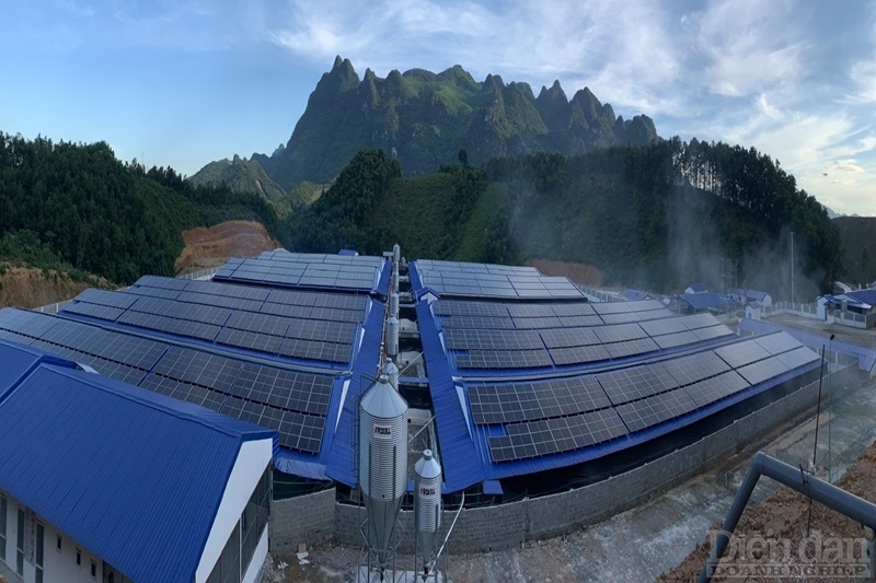 Điện mặt trời mái nhà được lắp trên mái các trang trại chăn nuôi heo ở tỉnh Hòa Bình