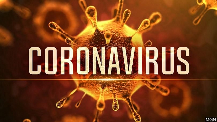 Virus Corona lây lan do môi trường sống bị ô nhiễm