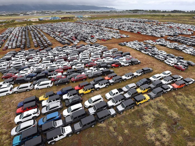 Một bãi đỗ xe chật kín chỗ của các hãng cho thuê xe tại Mỹ trong thời điểm COVID-19 đang bùng nổ tại nước này
