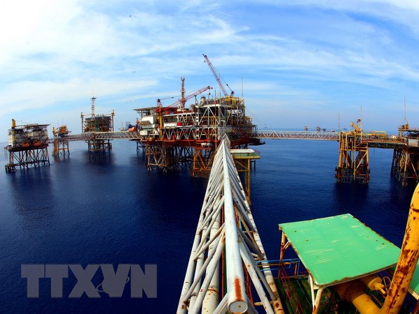 Kinh tế, trọng điểm là lĩnh vực dầu khí được xác định trọng tâm trong hợp tác Việt - Nga