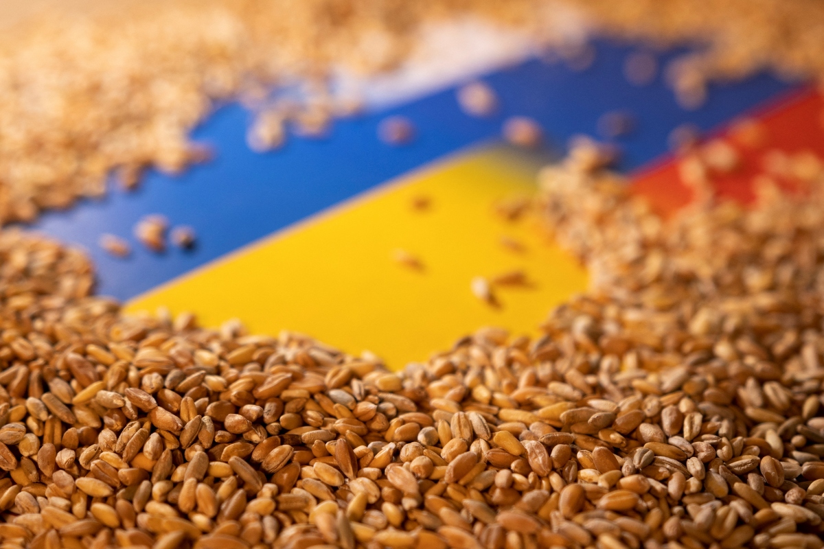 Ngũ cố Ukraine bị tồn đọng sau vụ mùa bội thu
