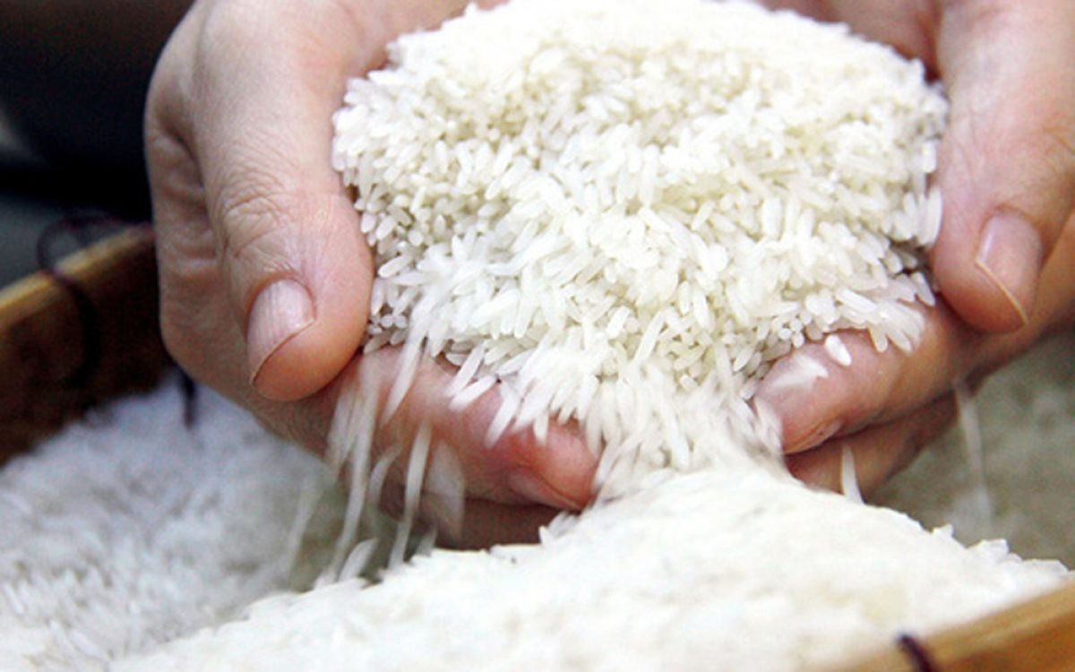 Gạo Việt Nam chiếm lĩnh thị trường nhờ số lượng lớn, gặp phải thời điểm nhu cầu thế giới cao