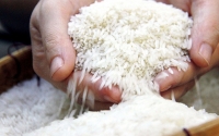 Gạo Việt ở đâu trên “bản đồ lương thực” thế giới?