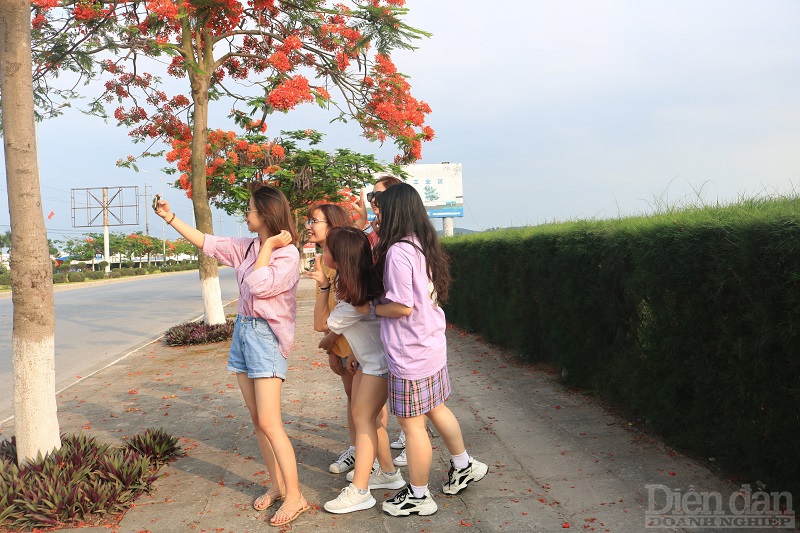 Trên con đường hoa phượng dài nhất Việt Nam sẽ rất dễ bắt gặp những cô bé sinh viên rủ nhau check -in.