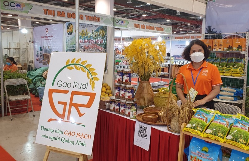 Sản phẩm OCOP gạo ruộng rươi của HTX đặc sản đồng rươi Đông Triều tham gia Hội chợ OCOP Quảng Ninh