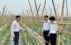 Nam Định: Ứng dụng khoa học công nghệ cao để phát triển nông nghiệp xanh