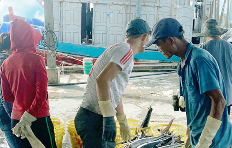 Việc kiểm tra, giám sát sản lượng thuỷ sản tại Cảng cá Thành Vui (Hải Hậu) được tăng cường thực hiện (Ảnh: Báo Nam Định)