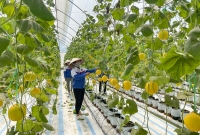 Quảng Ninh: Đẩy mạnh khoa học công nghệ cao vào sản xuất, giúp nâng cao giá trị nông sản