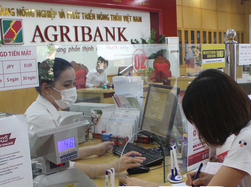 Ngân hàng Nông nghiệp và Phát triển nông thôn Việt Nam Chi nhánh tỉnh Thái Bình là 1 trong 6 ngân hàng thương mại trên địa bàn tỉnh tham gia cho vay gói tín dụng 120.000 tỷ đồng