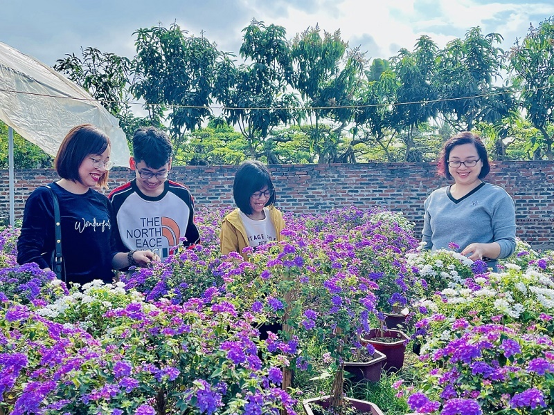 Du khách đến trải nghiệm làng hoa trên đất mỏ Quảng Ninh