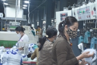 Thái Bình: Tăng cường liên kết doanh nghiệp để cùng phát triển