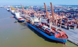 Hải Phòng: Đôn đốc chống thất thu phí sử dụng hạ tầng khu vực cửa khẩu cảng biển