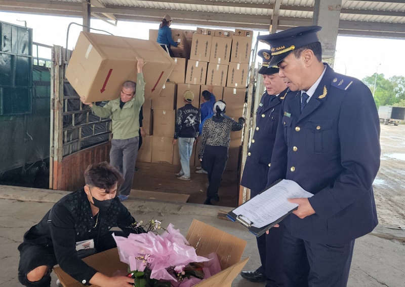Công chức Chi cục Hải quan cửa khẩu Móng Cái giám sát hàng hóa nhập khẩu qua cửa khẩu cầu Bắc Luân II (Ảnh: Báo Quảng Ninh)