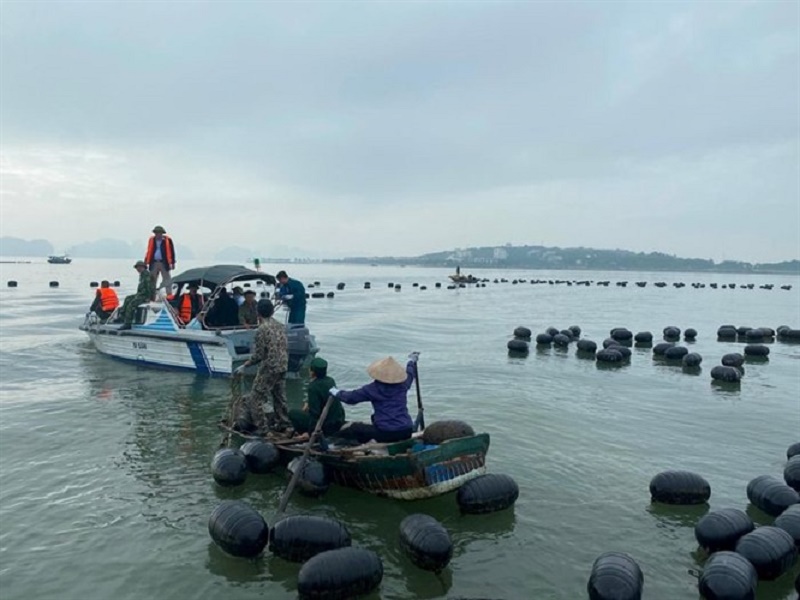 Kiên quyết không để nuôi thủy sản trái phép trên Vịnh Hạ Long (Ảnh: Báo Quảng Ninh)