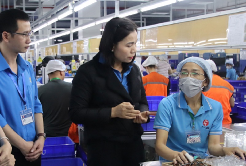 Thái Bình có 1 khu kinh tế, 10 khu công nghiệp, 50 cụm công nghiệp với 11.000 doanh nghiệp đăng ký hoạt động, thu hút trên 720.000 lao động (Ảnh minh họa)