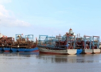 Nam Định: Nỗ lực bảo vệ và phát triển bền vững nguồn lợi thủy sản