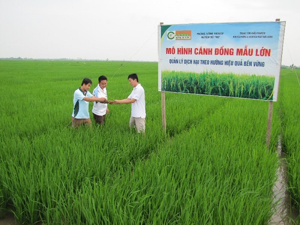 Thái Bình có nhiều điều kiện để phát triển nông nghiệp công nghệ cao
