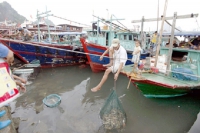 Quảng Ninh: Hàng trăm tàu cá không đăng kí vì quy định… rối