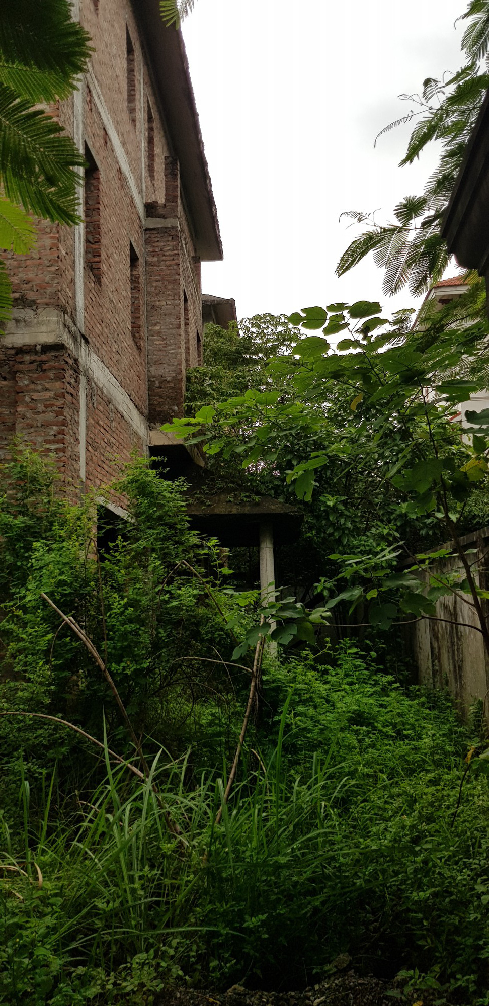 Sau nhiều năm bị bỏ hoang, về kết cấu nhìn chung các căn biệt thự vẫn ổn định nhưng tường và sàn đã mốc rêu cũng như cây cỏ mọc um tùm xung quanh