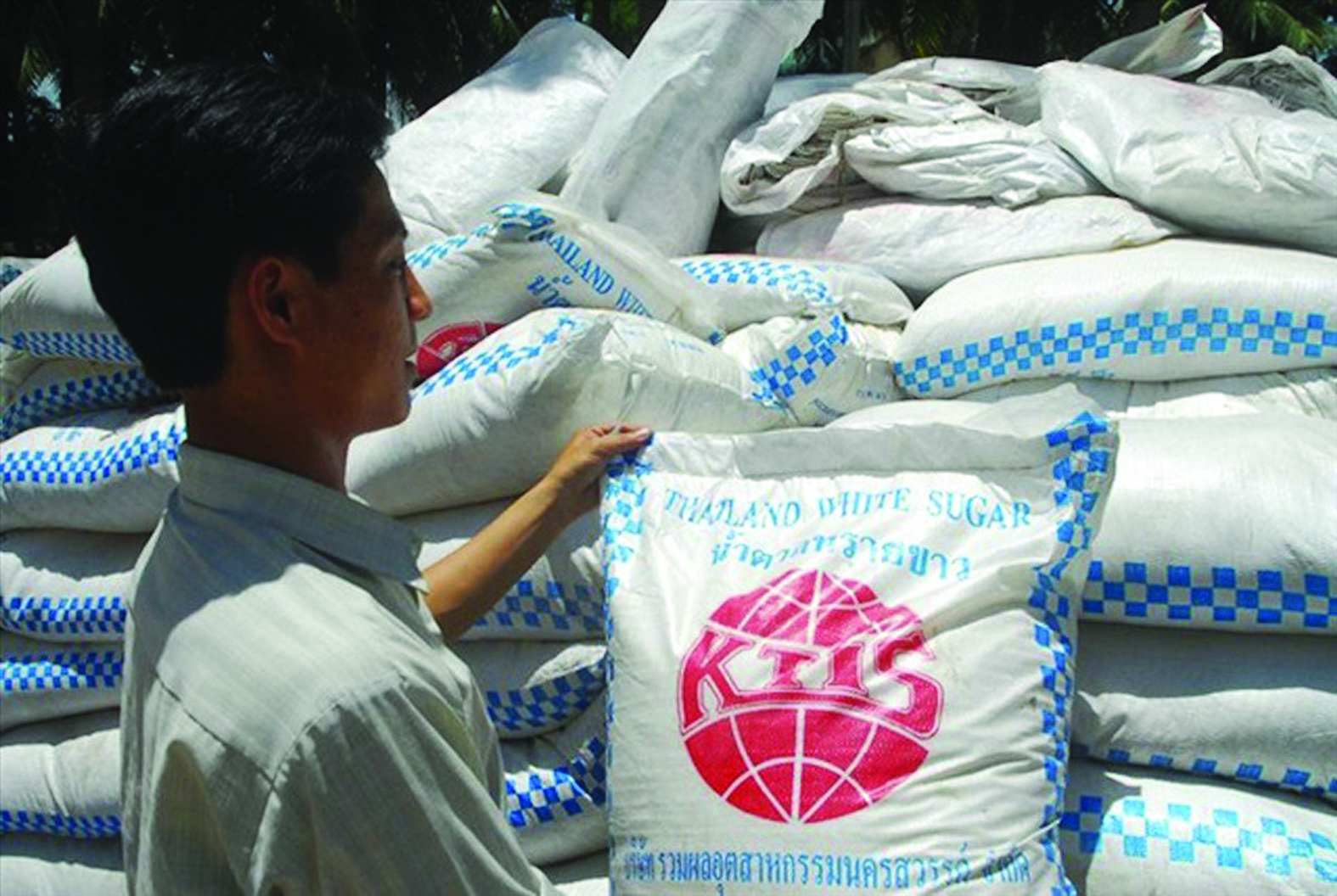 Với mức bán phá giá đường Thái Lan tại thị trường Việt Nam lên tới 48,88%, ngành mía đường trong nước khó có thể chống đỡ nổi. Ảnh: L.Đ