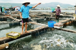 Một số quy định về cấp phép nuôi trồng thủy sản còn chưa hợp lý