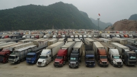 TIN NÓNG CHÍNH PHỦ: Sớm khắc phục tình trạng ùn tắc hàng hóa tại các cửa khẩu biên giới phía bắc