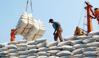 TIN NÓNG CHÍNH PHỦ: Sửa quy định về chứng nhận chủng loại gạo thơm xuất khẩu sang Liên minh châu Âu