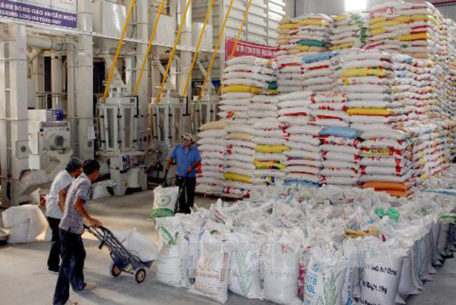 Xuất cấp gạo cho các địa phương dịp Tết Nguyên đán Nhâm Dần và giáp hạt đầu năm 2022.