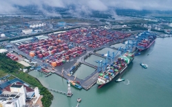 Vì sao cần tăng giá bốc dỡ container tại cảng biển?
