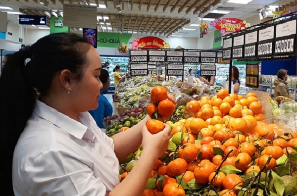 Bưởi Diễn, cam miền bắc được khách hàng lựa chọn nhiều tại các siêu thị trên địa bàn TP HCM