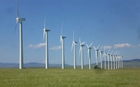 Doanh nghiệp muốn gia hạn cơ chế giá FIT để thúc đẩy phát triển điện gió
