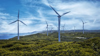 Đầu tư điện gió: Doanh nghiệp cần sự hỗ trợ từ Chính phủ