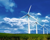 Giải pháp nào giúp doanh nghiệp điện gió thời COVID-19?
