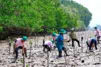 C.P. Việt Nam trồng 3.2 Hecta rừng ngập mặn tại tỉnh Đồng Nai năm 2023