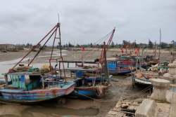 Thanh Hóa: Tìm giải pháp giúp cảng cá hơn 43 tỷ đồng “thoát ế”
