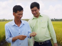 VINASEED – Xây dựng chuỗi giá trị lúa gạo bền vững mang văn hóa của Việt Nam đến với thế giới