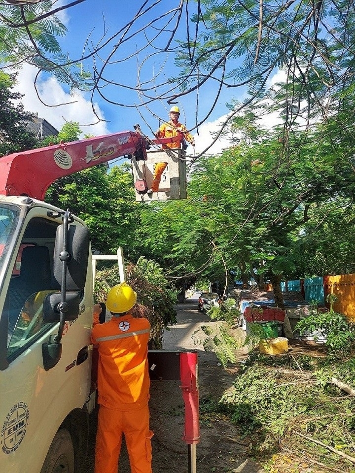 Công nhân Điện lực Thành phố Bắc Ninh cắt tỉa cành cây đảm bảo hành lang an toàn lưới điện