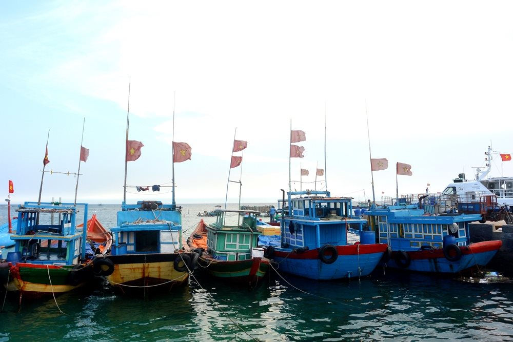 Đến nay, Quảng Ngãi đã có 5.571 tàu cá với tổng công suất hơn 1,8 triệu CV. Trong đó, tàu cá dài hơn 15 m đánh bắt xa bờ là 3.300 tàu, đứng thứ hai cả nước.
